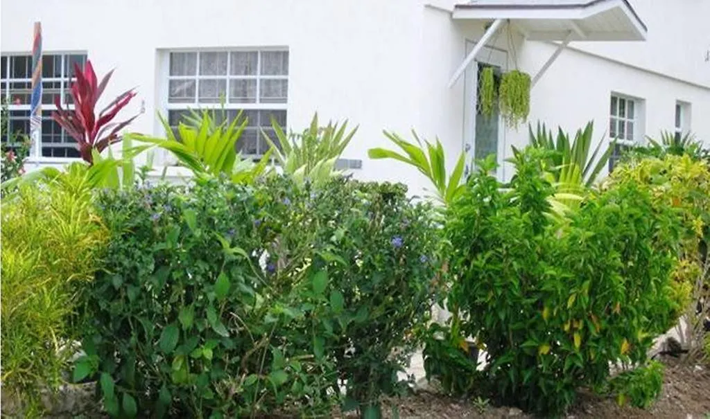 Palm Paradise Guest House And Apartments 4*, Derricks