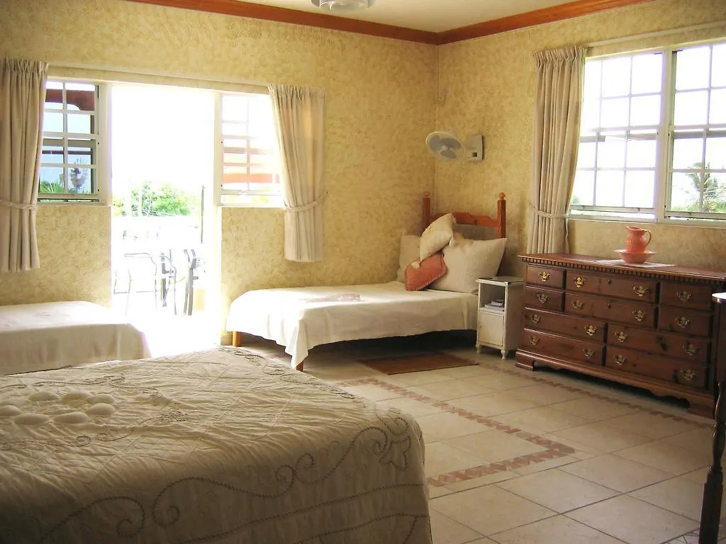 Palm Paradise Guest House And Apartments