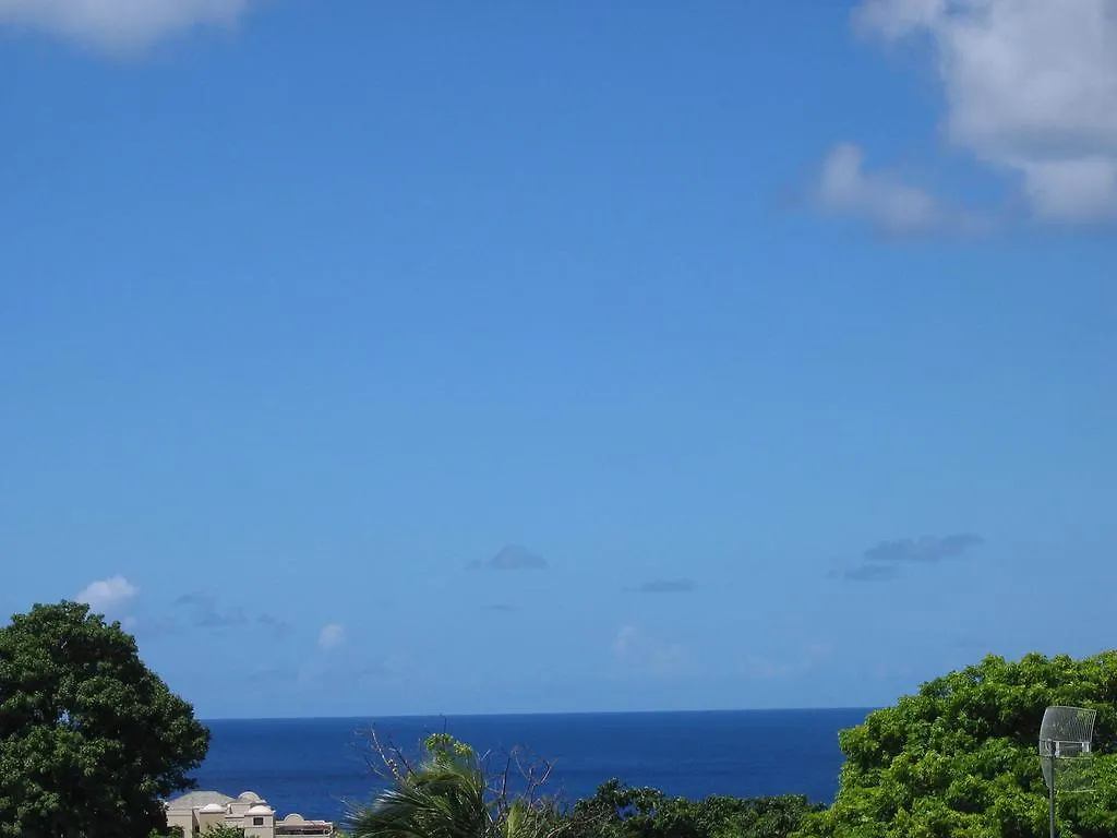 Palm Paradise Guest House And Apartments Barbados