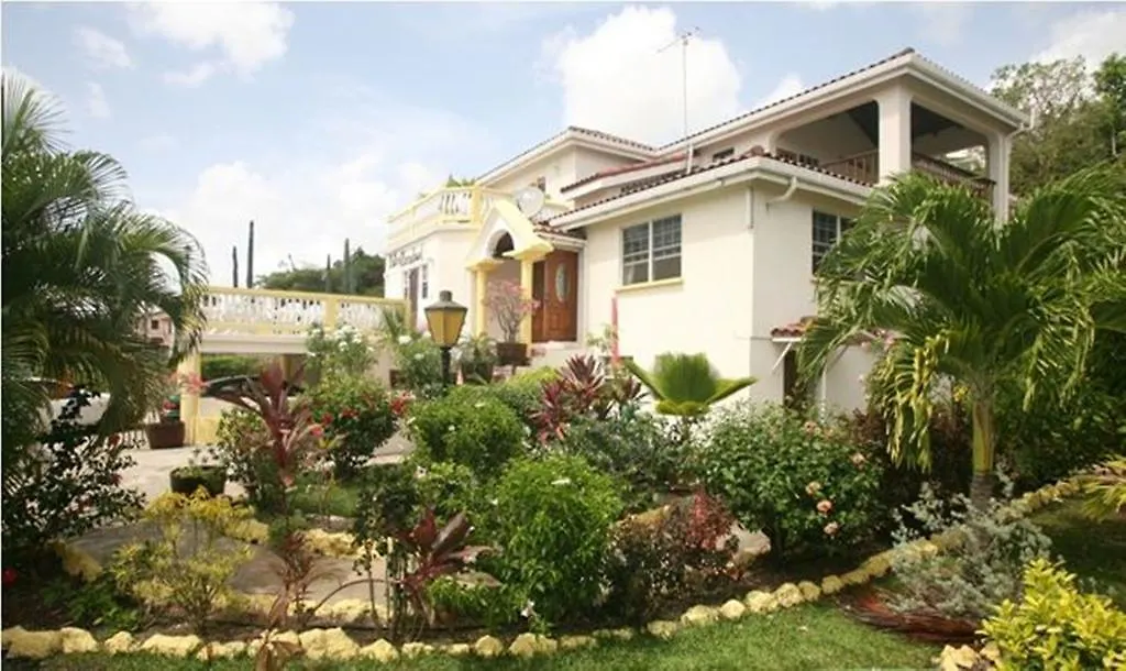 Palm Paradise Guest House And Apartments Derricks