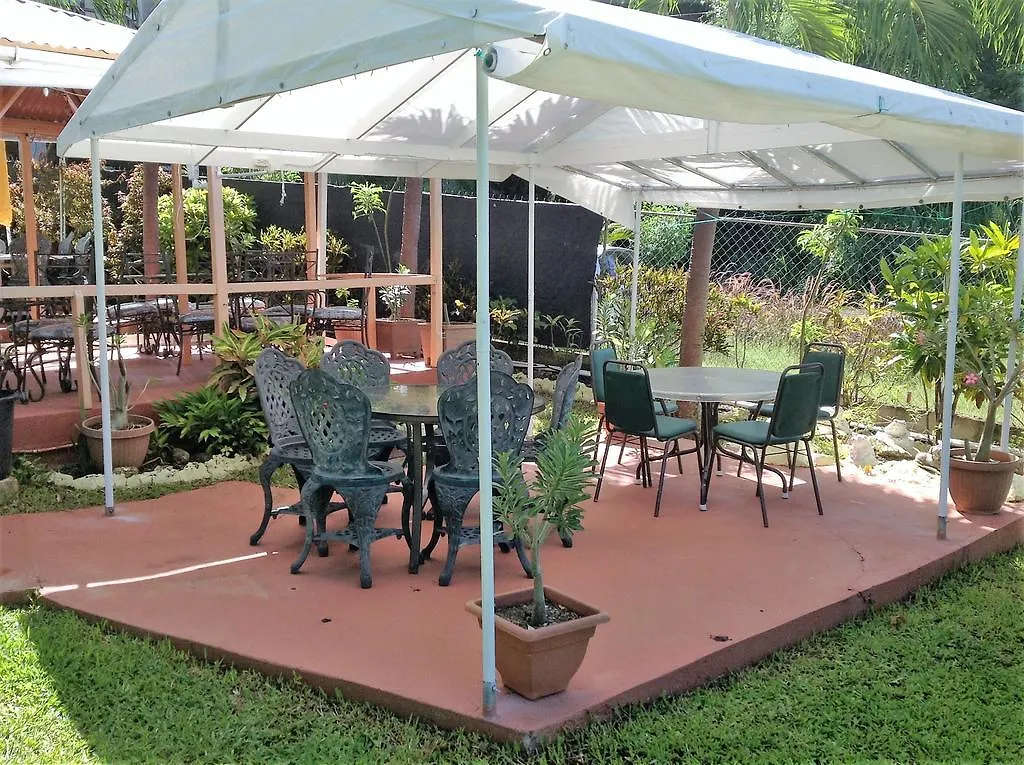 Palm Paradise Guest House And Apartments Derricks 4*,
