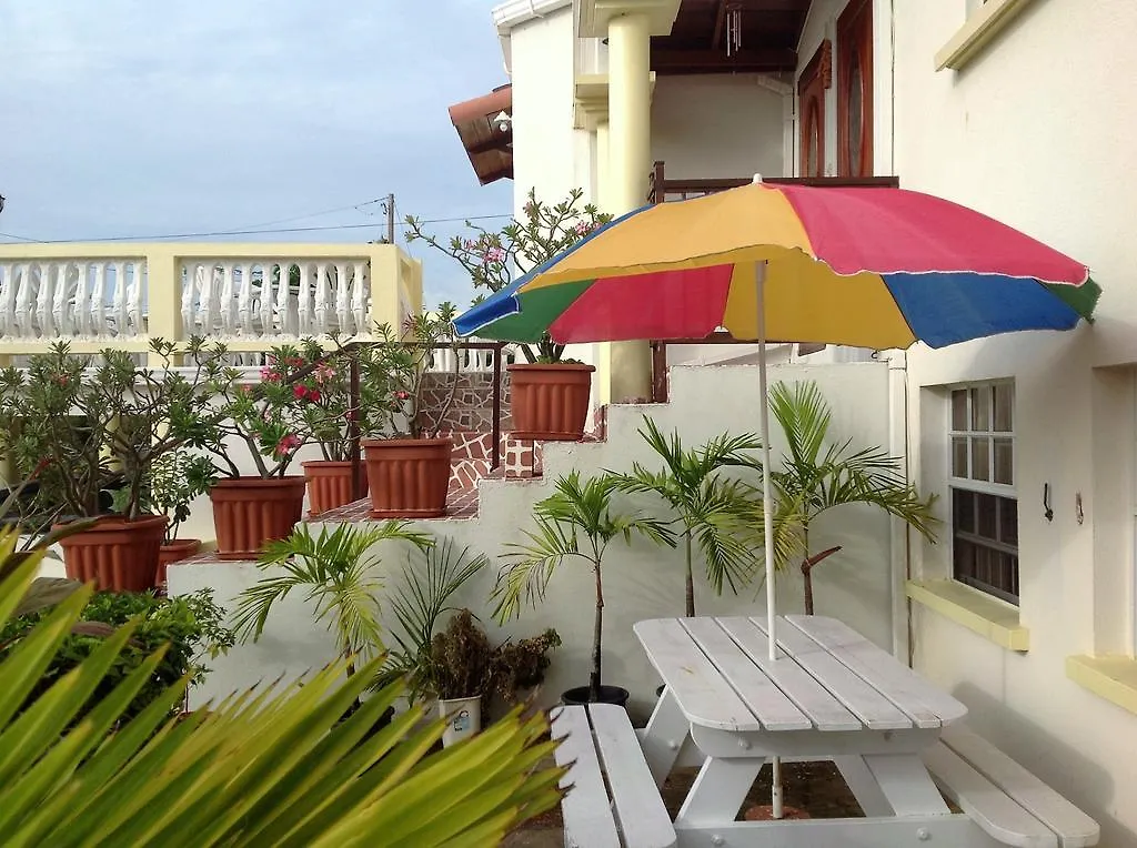 Palm Paradise Guest House And Apartments Derricks