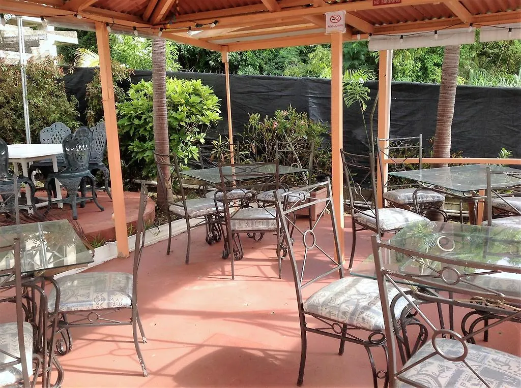 Palm Paradise Guest House And Apartments Derricks