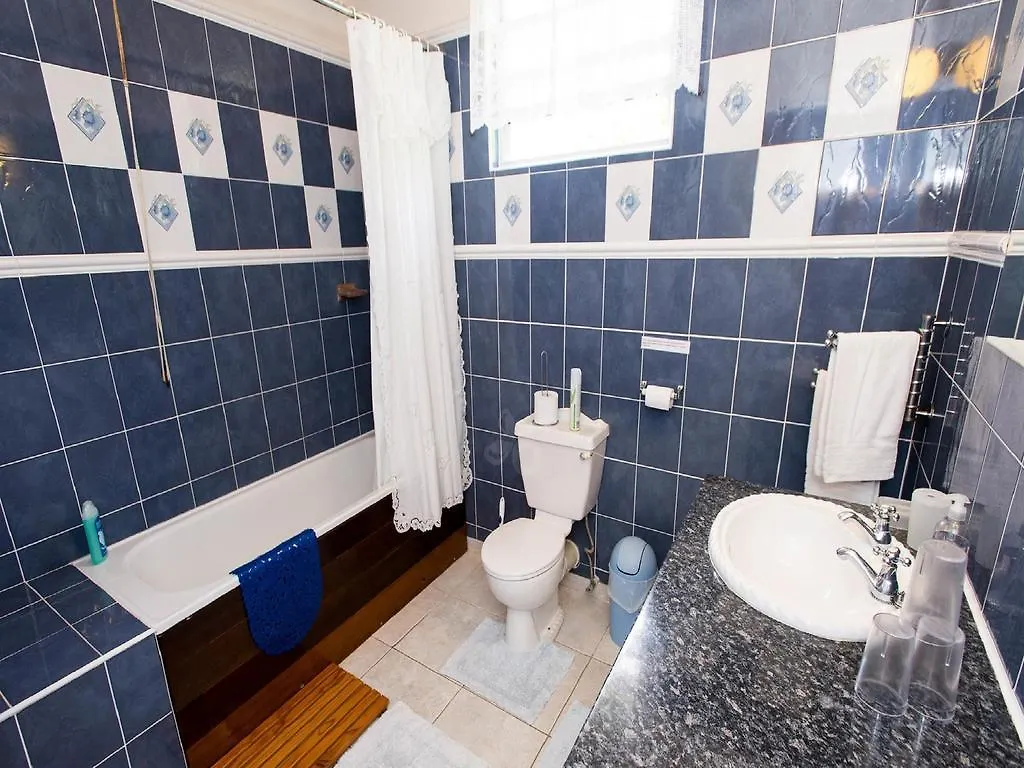 Palm Paradise Guest House And Apartments Derricks