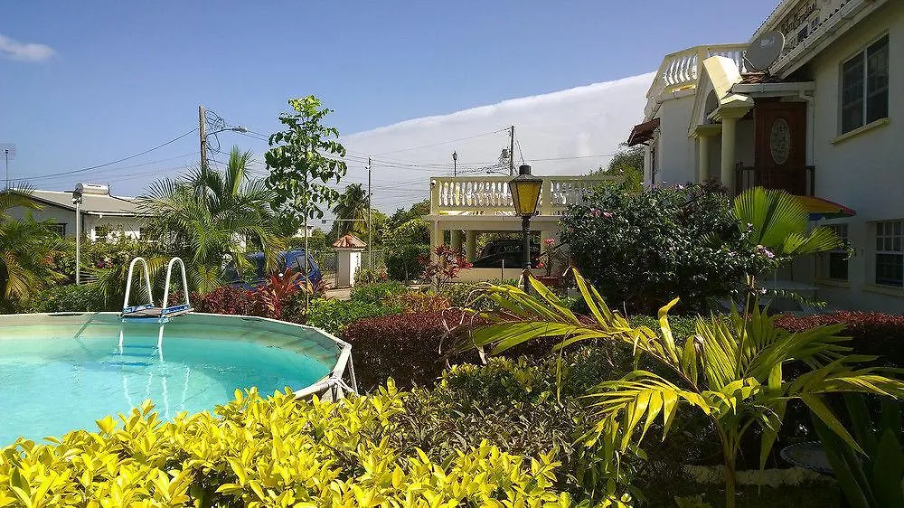 Palm Paradise Guest House And Apartments Derricks