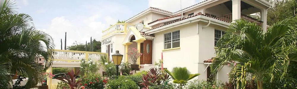 Palm Paradise Guest House And Apartments Derricks