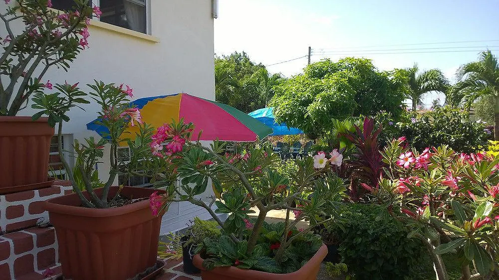 Palm Paradise Guest House And Apartments Derricks