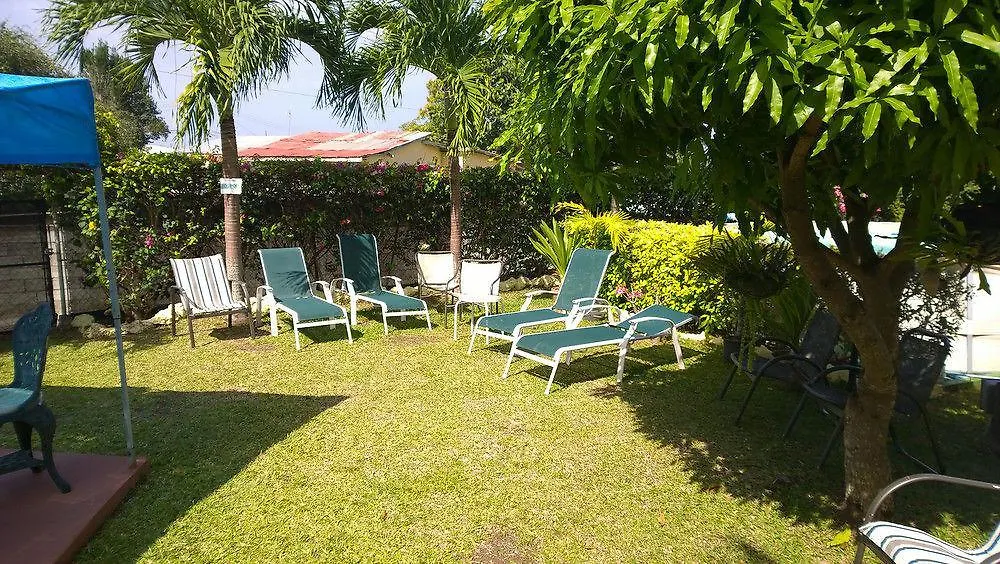 Palm Paradise Guest House And Apartments Derricks