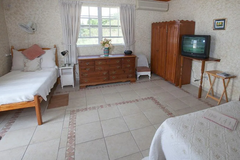 Palm Paradise Guest House And Apartments Derricks 4*,  Barbados