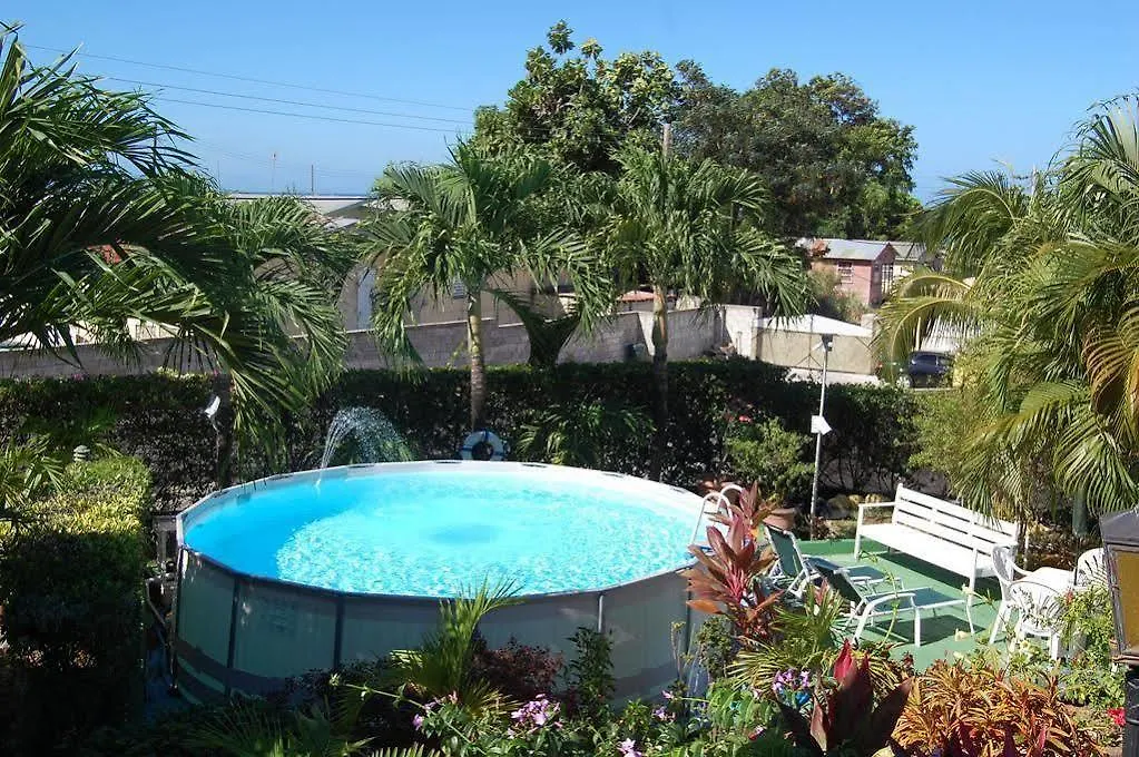Palm Paradise Guest House And Apartments Derricks