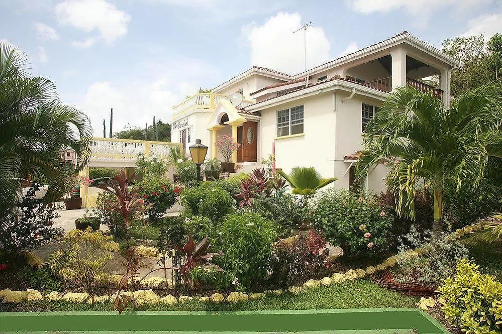 Palm Paradise Guest House And Apartments Derricks Barbados